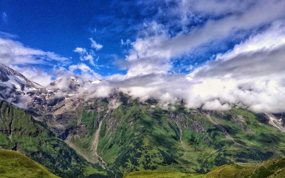 cele mai bune sampoane pentru par gras