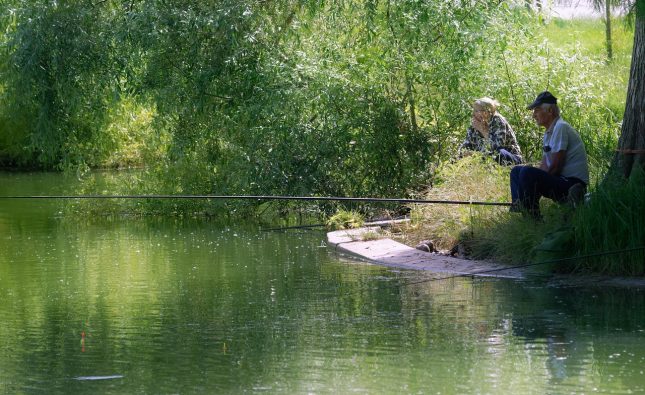 cele mai frumoase filme pentru copii dublate in romana